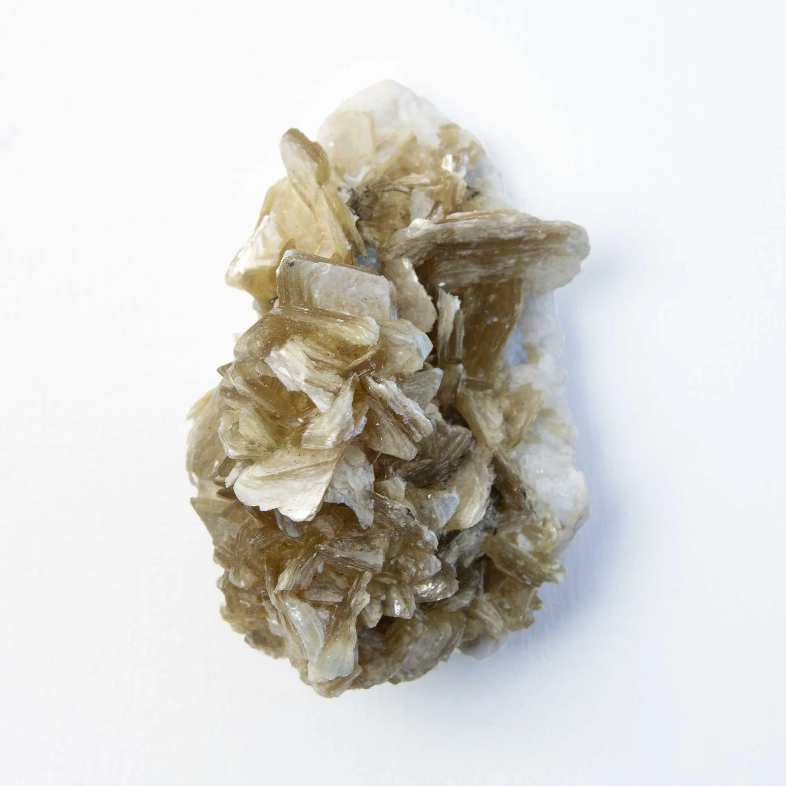 Mica - Yellow, Star, w/ Cleavelandite